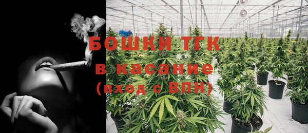 эйфоретик Медвежьегорск