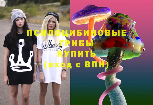 бошки Медногорск