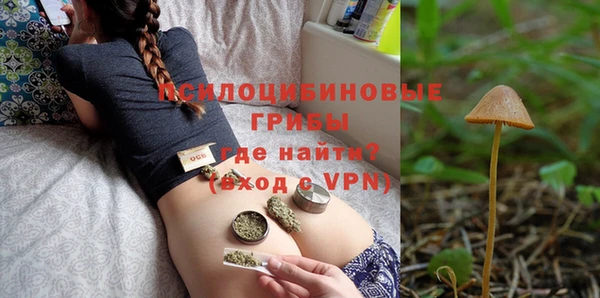 бошки Медногорск