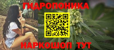стафф Заволжье