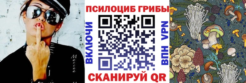гидра сайт  Муром  darknet клад  Галлюциногенные грибы прущие грибы 
