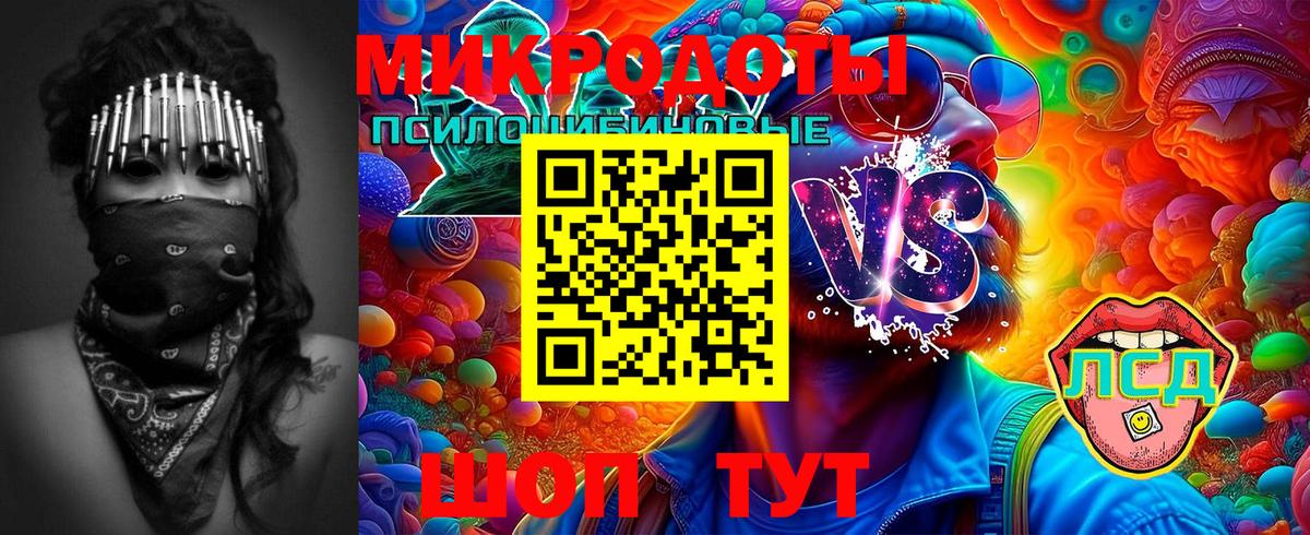 Галлюциногенные грибы Cubensis  Псилоцибиновые грибы GOLDEN TEACHER  Муром  Вход с VPN 