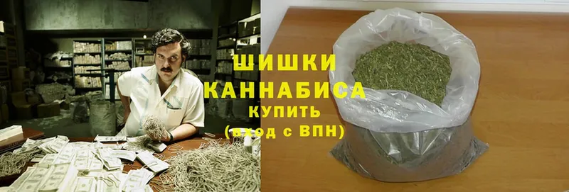 kraken ТОР  Муром  Каннабис планчик 